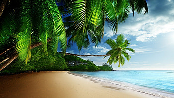 Sandy shores stretch, Coastal breeze whispers, Sun-kissed paradise, Beach getaway HD wallpaper