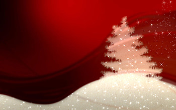 Winter christmas tree, winter, holiday, snow, christmas, tree HD wallpaper