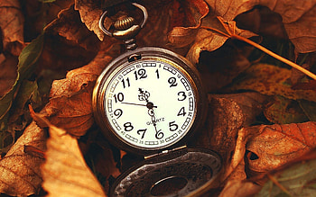 Nature, Leaves, Clock, Macro, Miscellanea, Miscellaneous, Time, It's Time HD wallpaper