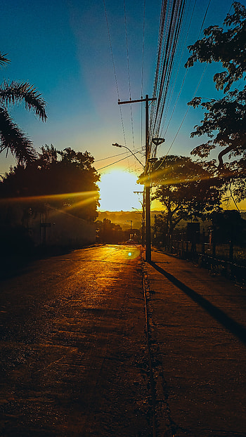 Early day glow, sunlight, tree, outdoor, street, sunrise HD phone wallpaper