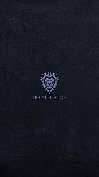 Do Not Stop, leao, leão, minimalist, motivacional, minimalista HD phone wallpaper