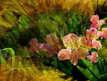 Abstract Spring, flowers, abstract, spring HD wallpaper