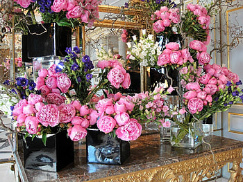 Hotel lobby, mirror, ornament, flowers, hotel HD wallpaper