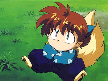 Shippo, grass, anime, green HD wallpaper