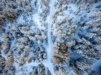 Nature, Snow, View From Above, Road, Winter Forest HD wallpaper