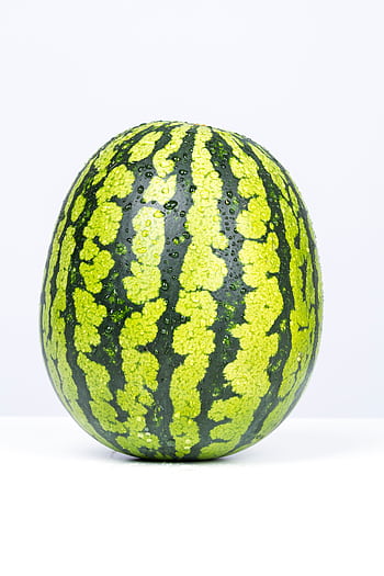 High-quality of a fresh green watermelon with water droplets on a white background. HD phone wallpaper