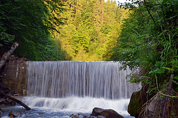 Nature, Rivers, Shine, Light, Waterfall, Forest, Wall, Shadows, Ukraine, Transcarpathia, Carpathia, Jonka HD wallpaper