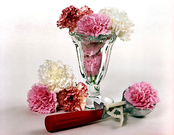 Carnation ice cream, still life, flowers, ice cream, carnation HD wallpaper