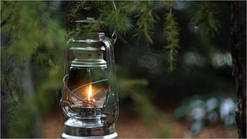 peaceful, nature, light, lamp, tree HD wallpaper