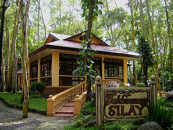 In Panaad Stadium: A Replica Home of Silay City, trees, building, sidewalk, house HD wallpaper