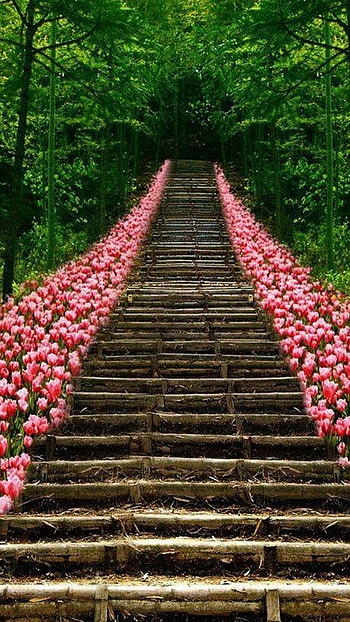 Unique, Stairs HD phone wallpaper
