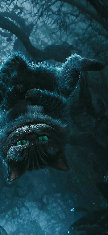 Cheshire Cat, 11, Cat HD phone wallpaper
