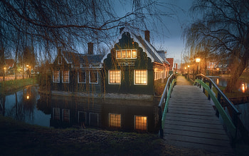 unban lights, river, night, lights, street, bridge, trees, houses HD wallpaper