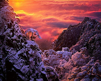 winter sunset, winter, frozen, snow, trees, nature, mountains, sun, sunset HD wallpaper