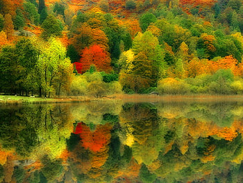 Colorful autumn reflection, reflection, fall, colors, autumn, nature, water, lake HD wallpaper