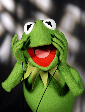 Kermit the Frog , High definition , Colorful backgrounds, Fans' choice HD phone wallpaper