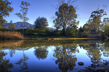 Landscape, Nature, Rivers, Trees HD wallpaper