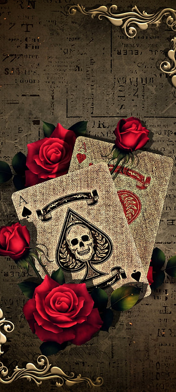 Solitaire Skull rose, hybrid tea rose, red, premium, King, Luxury, Retro, card HD phone wallpaper