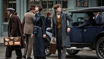 Harry Potter director, New project, Fantastic Beasts, Gamesradar HD wallpaper