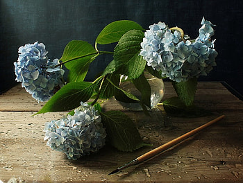 still life, bouquet, graphy, drops, beautiful, nice, wet, pretty, flower, cool, flowers, , water, lovely, harmony HD wallpaper