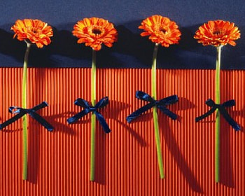 Four Little Flowers, orange gerberas, ribbon, daisies HD wallpaper