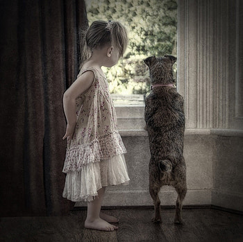Little girl, dog, childhood, blonde, fair, nice, adorable, bonny, sweet, Belle, white, window, Hair, girl, tree, Standing, comely, sightly, pretty, green, face, lovely, pure, child, graphy, cute, baby, , Nexus, beauty, kid, feet, room, beautiful, people, little, pink, love, princess, dainty HD wallpaper