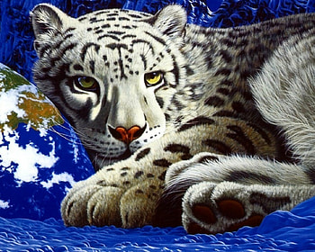 Leopard, cat, wild, animals HD wallpaper