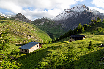 Nature, Mountains, Building, Branches, Slope HD wallpaper