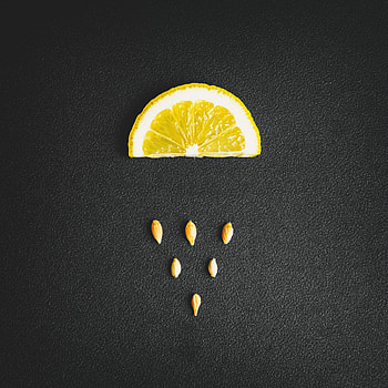 Food, Texture, Lemon, Bones HD phone wallpaper