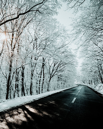 Winter, Nature, Trees, Snow, Road HD phone wallpaper