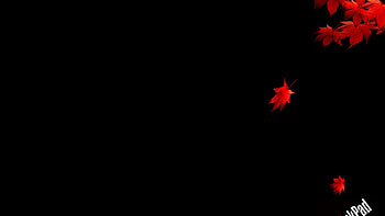 Ibm thinkpad lenovo | (19719) HD wallpaper