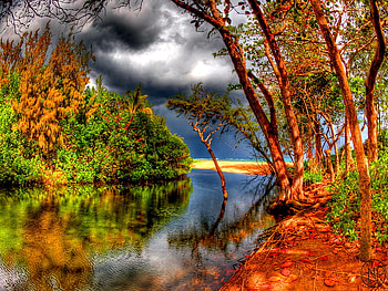 River near the sea, river, sea, treea, fall, peaceful, reflection, clouds, autumn, nature, sky, water, calm, forest HD wallpaper