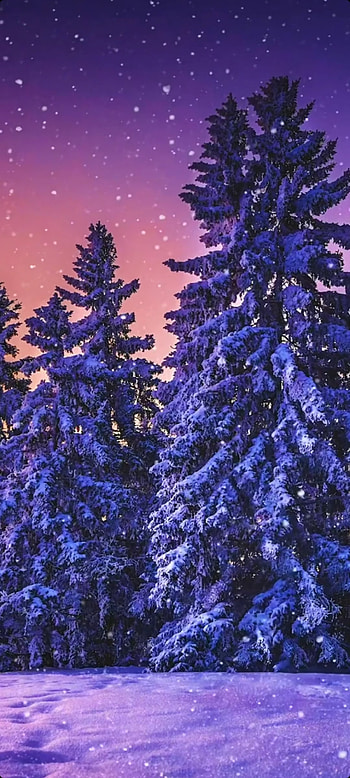 Life, sky, blue, winter HD phone wallpaper