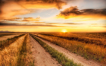 Nature, Sky, Sun, Clouds, Horizon, Road, Field, Evening HD wallpaper