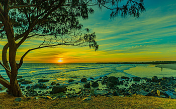 Beautiful beach, Branch, Sunset, Tree, Sea, Waves HD wallpaper