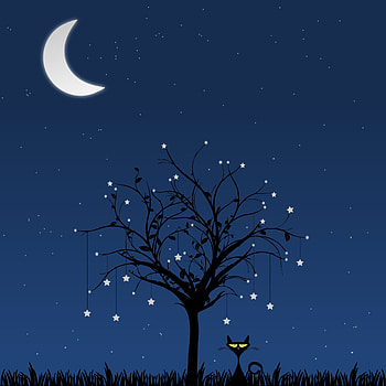 Art, Vector, Wood, Cat, Tree HD phone wallpaper