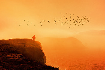 Bird Flock And Us, couple, sunset, graphy HD wallpaper