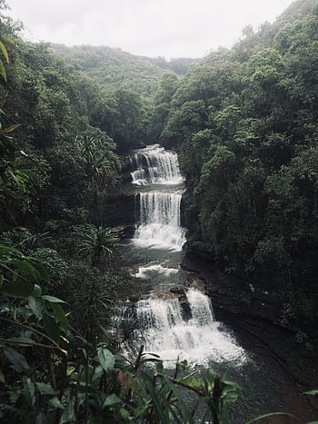 Majestic waterfall cascading through lush jungle foliage in Cherrapunjee, India. HD phone wallpaper