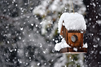 Home Sweet Home , winter, snow, nature, lovely, birdhouse HD wallpaper