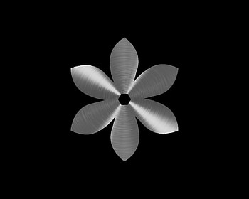 Flower silver, black, flower, metallic, silver, labrano, gizzzi HD wallpaper