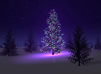 Holidays, Stars, Night, Fir-Trees, Forest, Garland, Garlands HD wallpaper