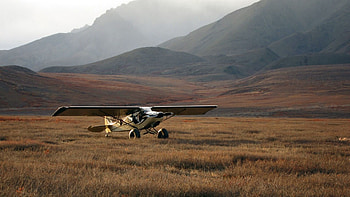 Bush plane, Ultralight Aviation HD wallpaper