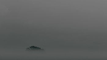 Top, Wood, Tree, Fog, Minimalism HD wallpaper