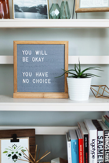 Words, Phrase, Motivation, Positive, Indoor Plant, Houseplant, Quote, Quotation HD phone wallpaper