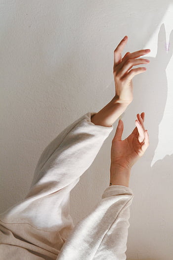 Artistic capture of hands creating shadows on a wall, with soft light and minimalist aesthetic. HD phone wallpaper