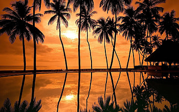 Sensational sunset, Beachfront bliss, Golden hour magic, Coastal beauty HD wallpaper