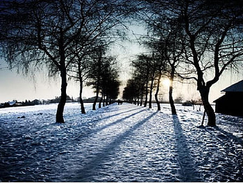 like fairy tale, fairy, tale, snow HD wallpaper