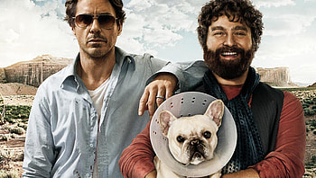 Due Date (2022) movie HD wallpaper