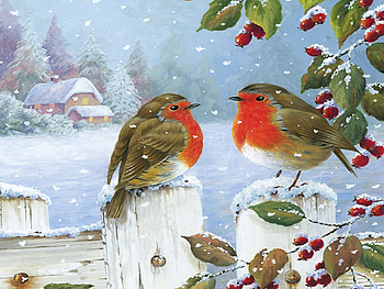 Lovely Birds, cottage, fence, snow, winter, painting, berries HD wallpaper