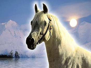 Arabian Glacier, arabians, snow, nature, sun, ice, glacier HD wallpaper